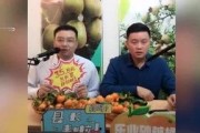 胖子娱乐吃瓜厅,揭秘娱乐圈幕后故事，带你领略明星们的真实生活