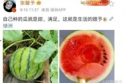 在哪里可以吃娱乐圈的瓜,揭秘各大热门餐厅的独家瓜料